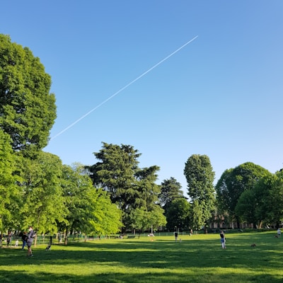 Parks & Green Spaces